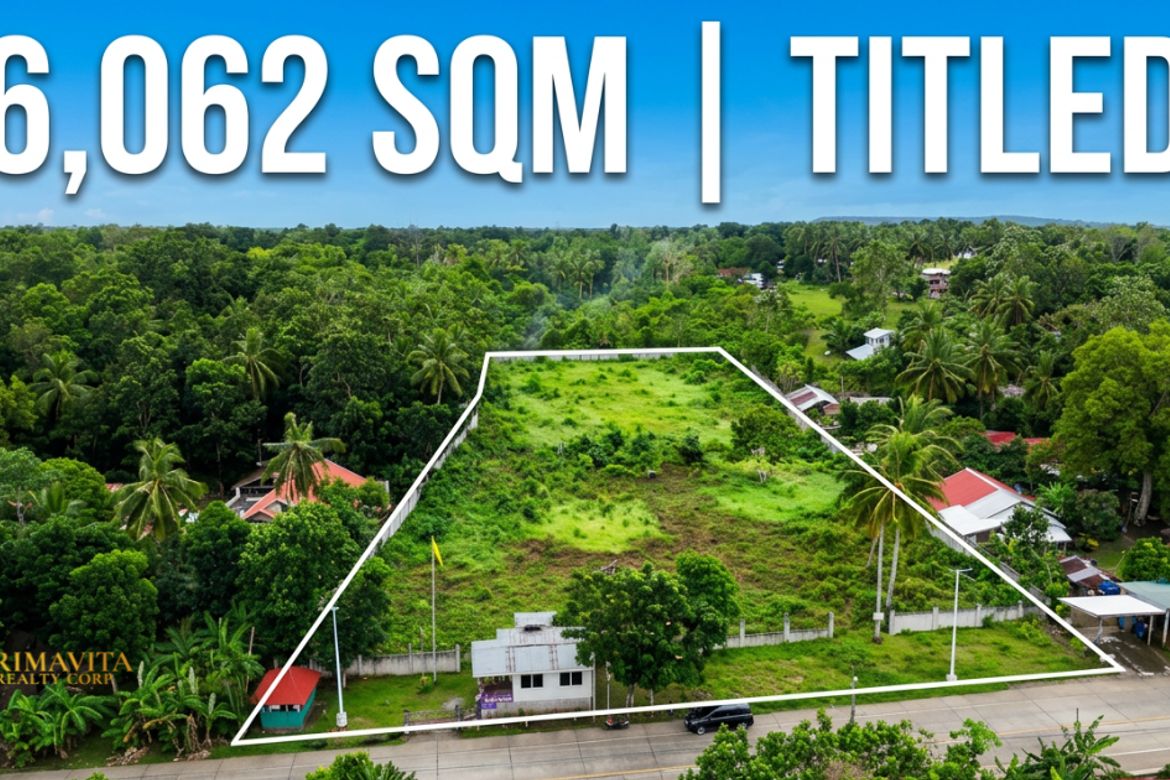 Land for Sale in Tangnan, Panglao, Bohol