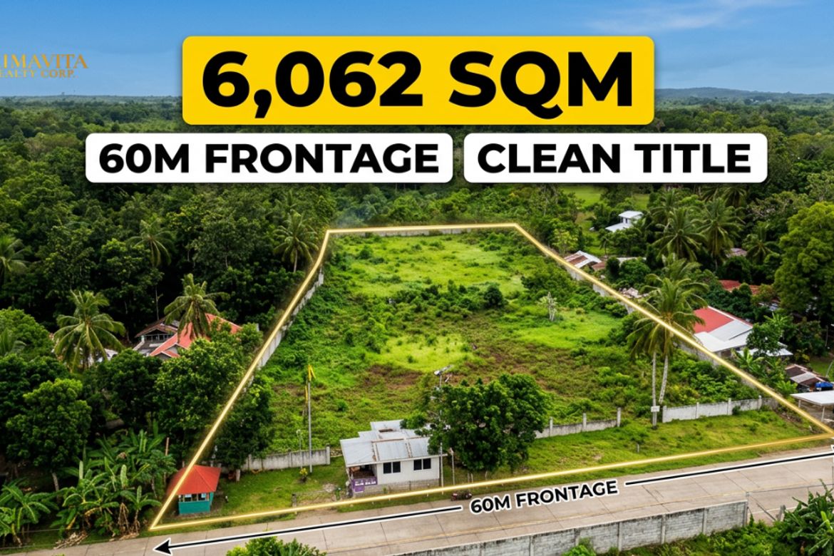 Land for Sale in Tangnan, Panglao, Bohol – photo 2