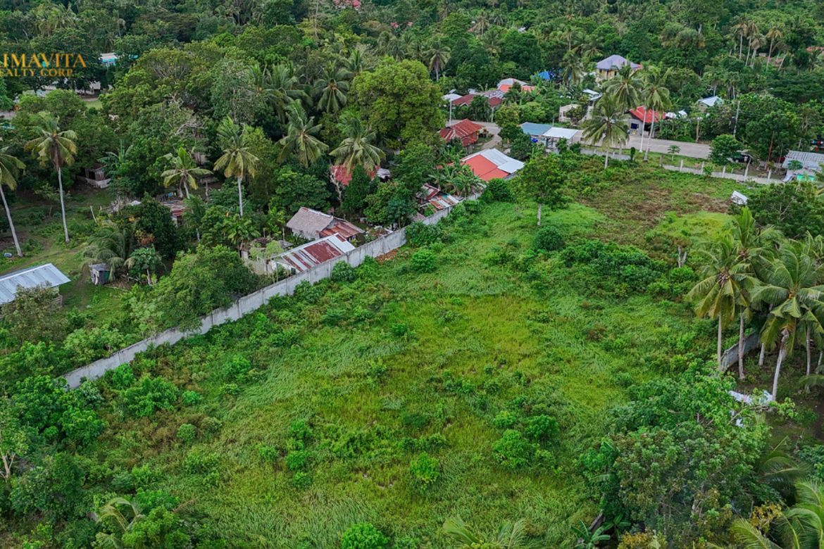 Land for Sale in Tangnan, Panglao, Bohol – photo 7