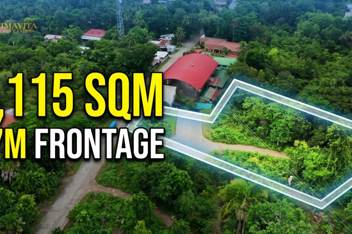 Land for Sale in Tangnan, Panglao, Bohol