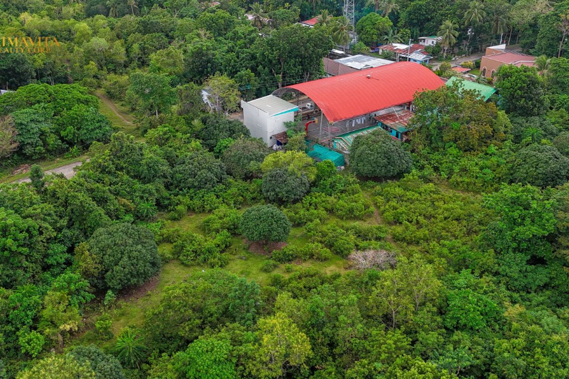 Land for Sale in Tangnan, Panglao, Bohol – photo 3