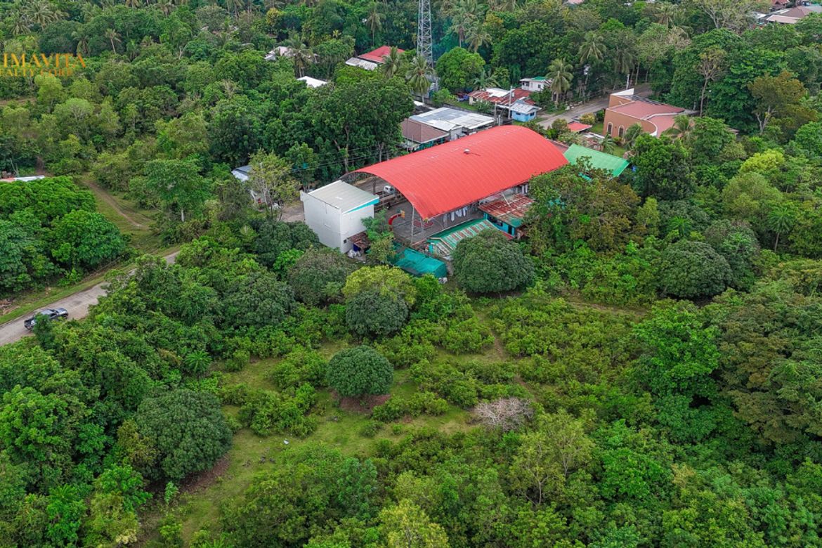 Land for Sale in Tangnan, Panglao, Bohol – photo 4