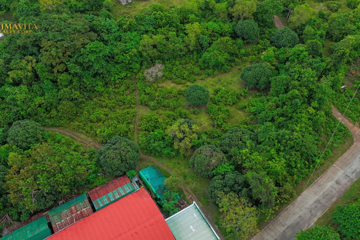 Land for Sale in Tangnan, Panglao, Bohol – photo 6