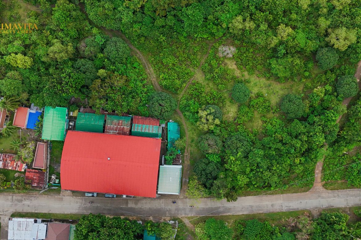 Land for Sale in Tangnan, Panglao, Bohol – photo 8