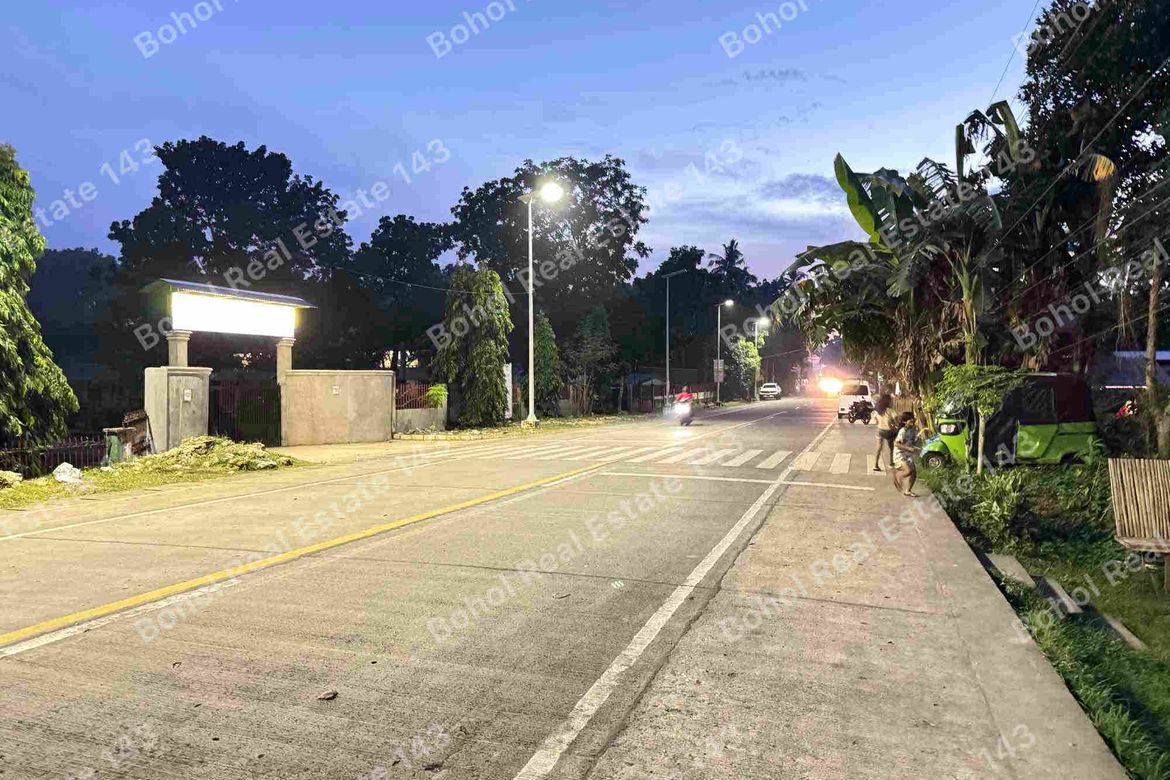 Land for Sale in Tangnan, Panglao, Bohol