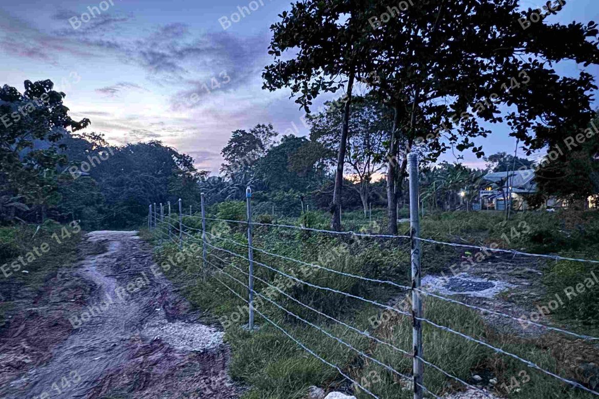 Land for Sale in Tangnan, Panglao, Bohol – photo 2