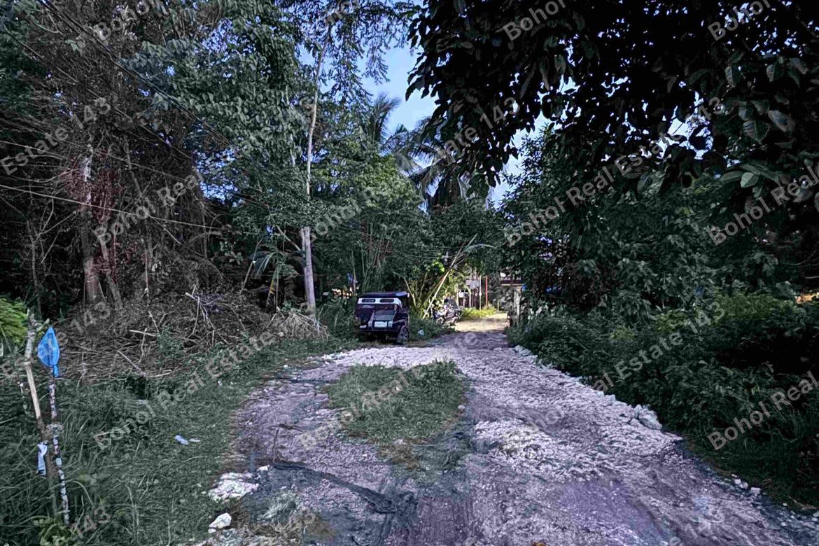Land for Sale in Tangnan, Panglao, Bohol – photo 6