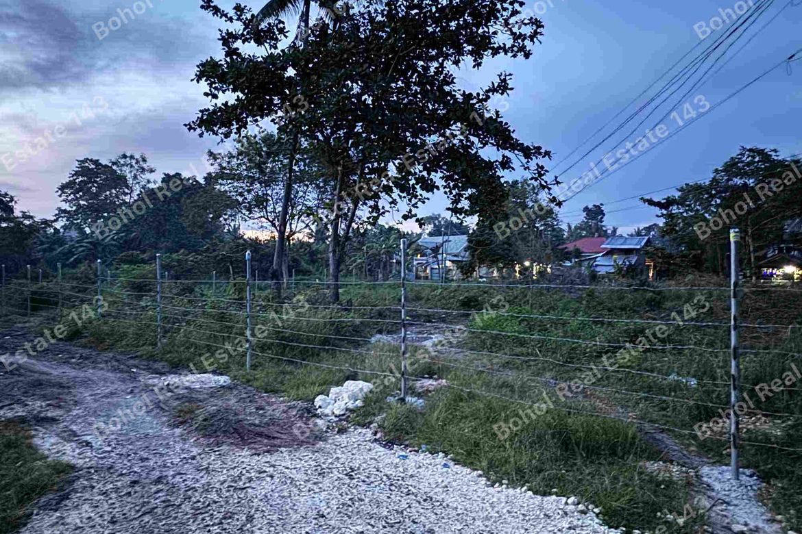 Land for Sale in Tangnan, Panglao, Bohol – photo 8