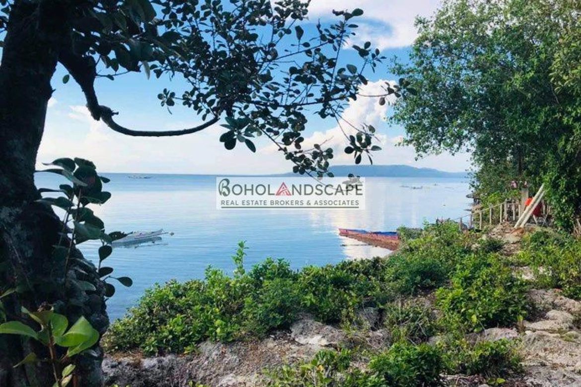 Land for Sale in Tangnan, Panglao, Bohol – photo 2