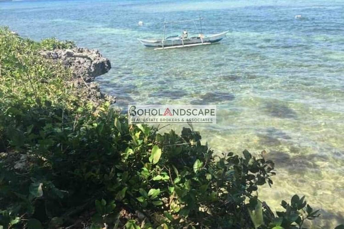 Land for Sale in Tangnan, Panglao, Bohol – photo 4