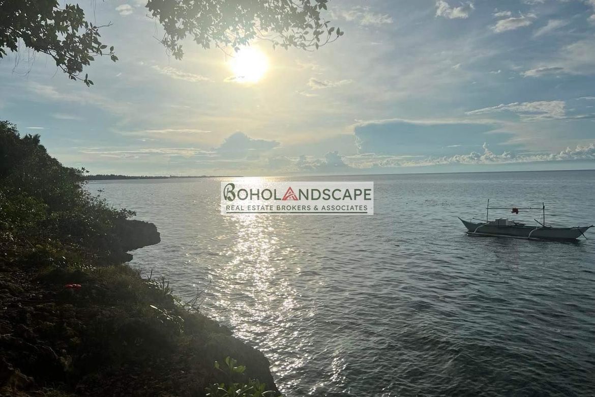 Land for Sale in Tangnan, Panglao, Bohol – photo 5