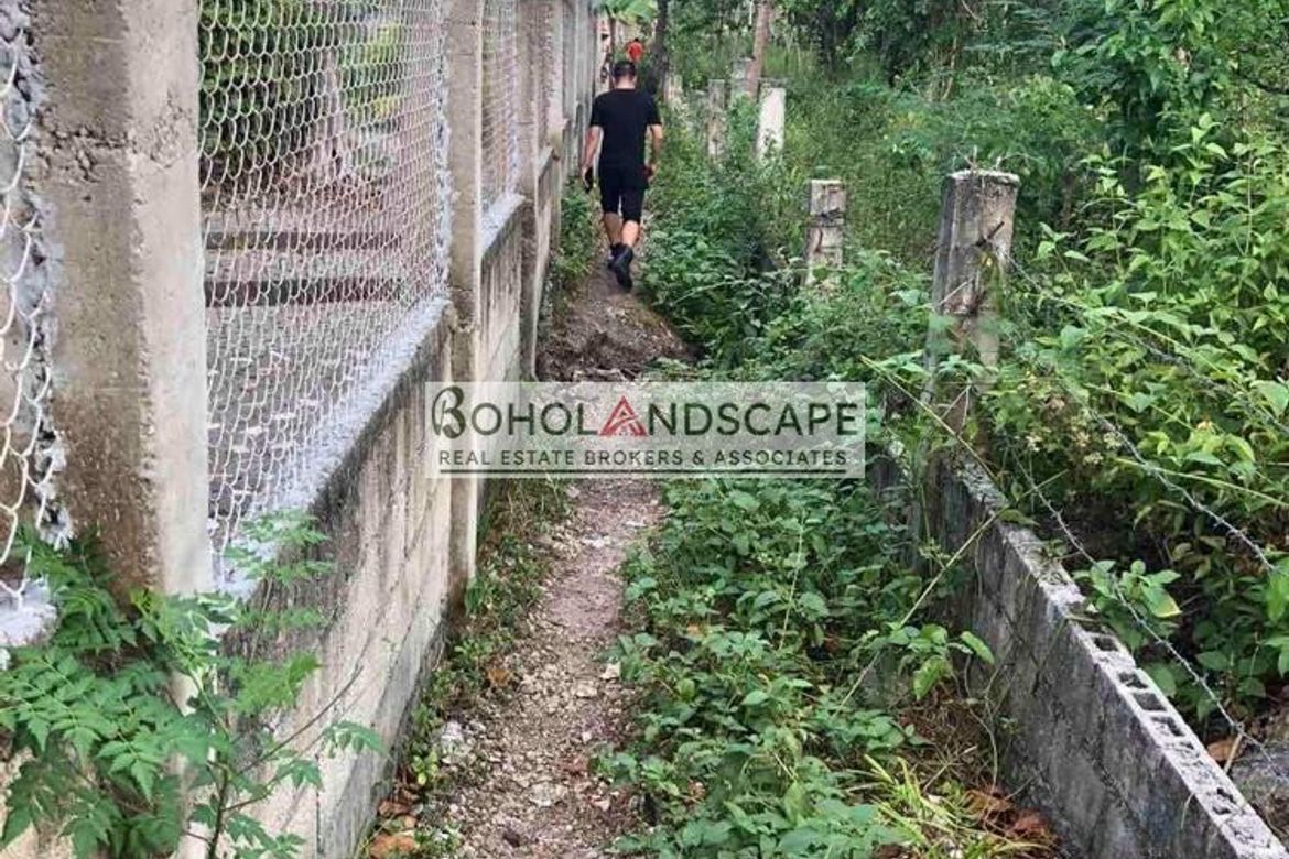 Land for Sale in Tangnan, Panglao, Bohol – photo 6