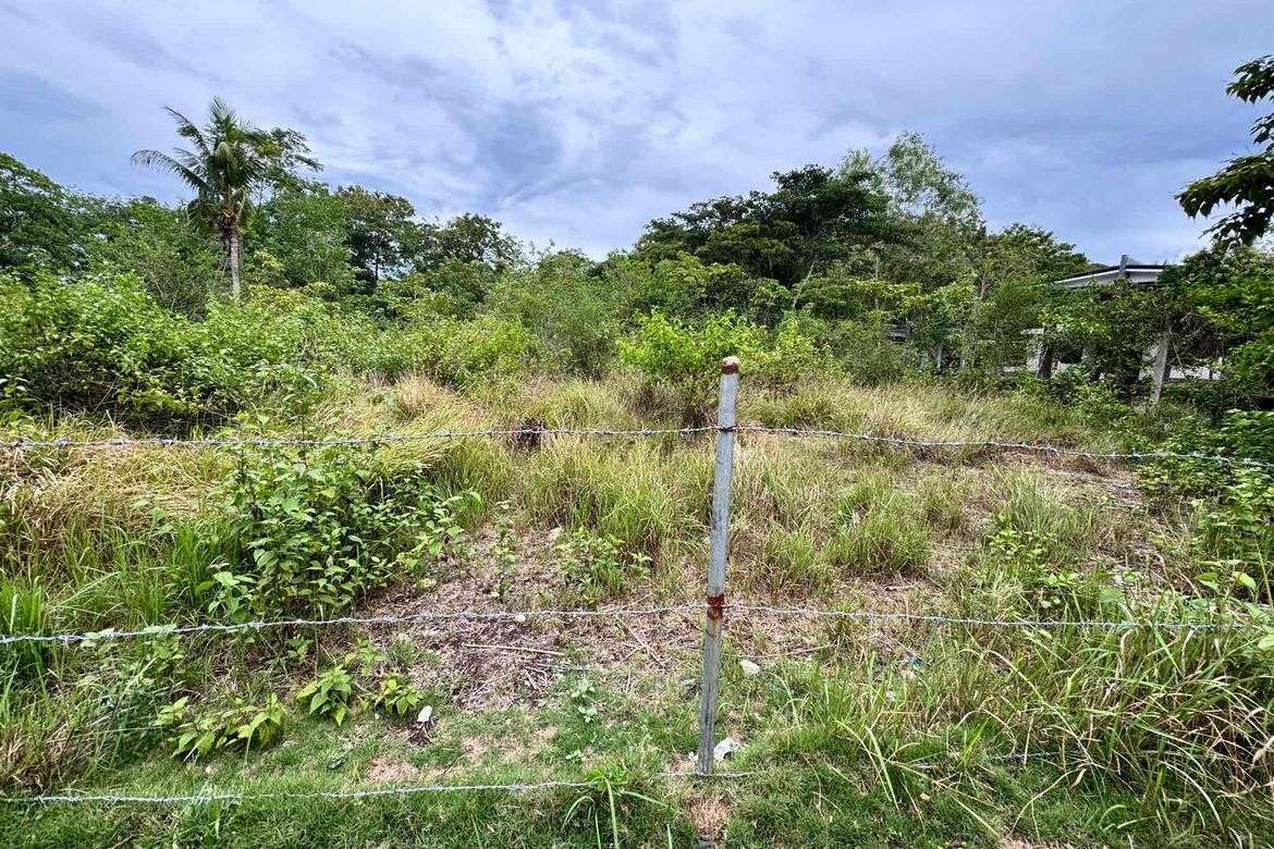 Land for Sale in Tangnan, Panglao, Bohol – photo 4