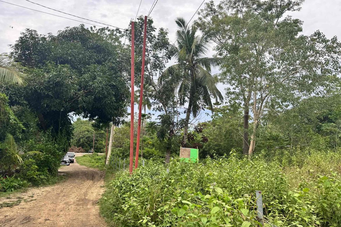 Land for Sale in Tangnan, Panglao, Bohol – photo 5