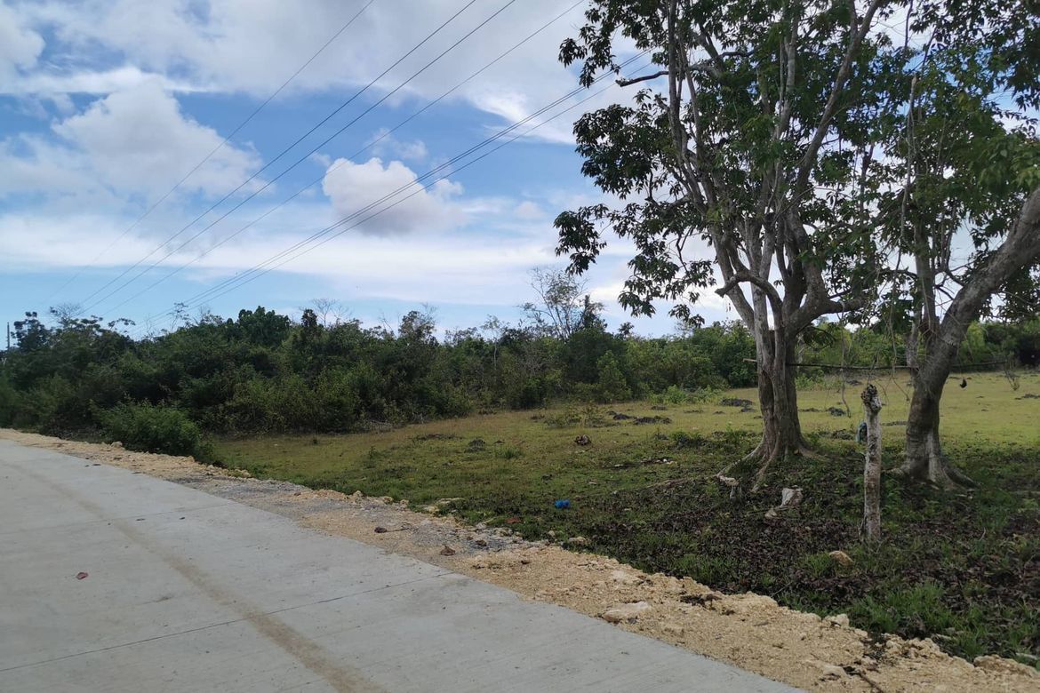 Land for Sale in Tangnan, Panglao, Bohol
