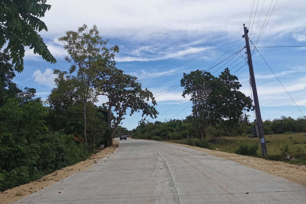 Land for Sale in Tangnan, Panglao, Bohol – photo 2