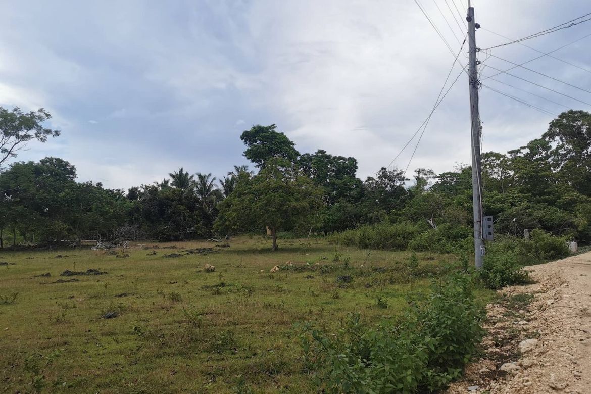 Land for Sale in Tangnan, Panglao, Bohol – photo 4