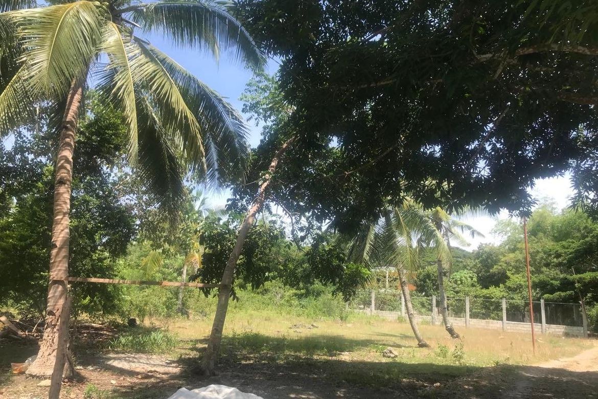 Land for Sale in Tangnan, Panglao, Bohol – photo 2