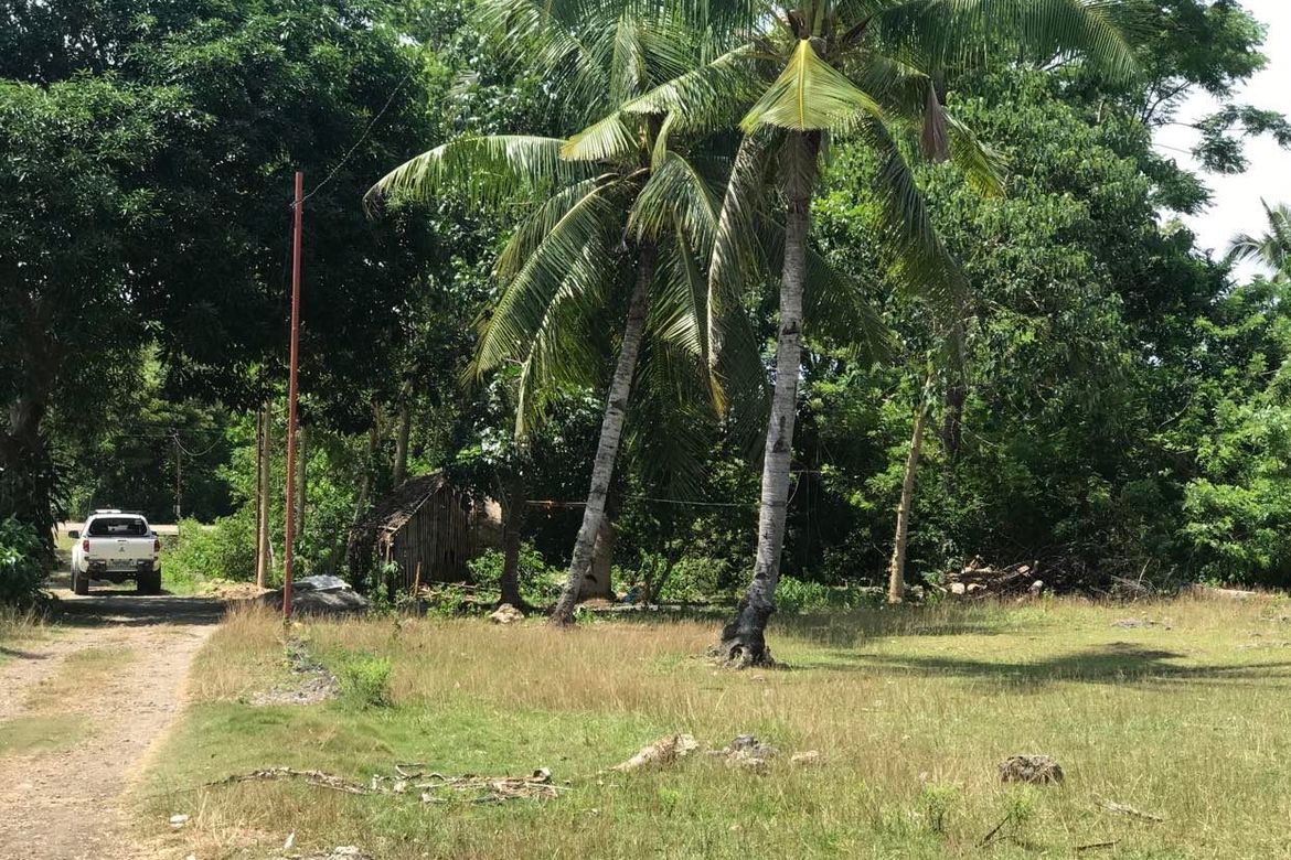 Land for Sale in Tangnan, Panglao, Bohol – photo 4