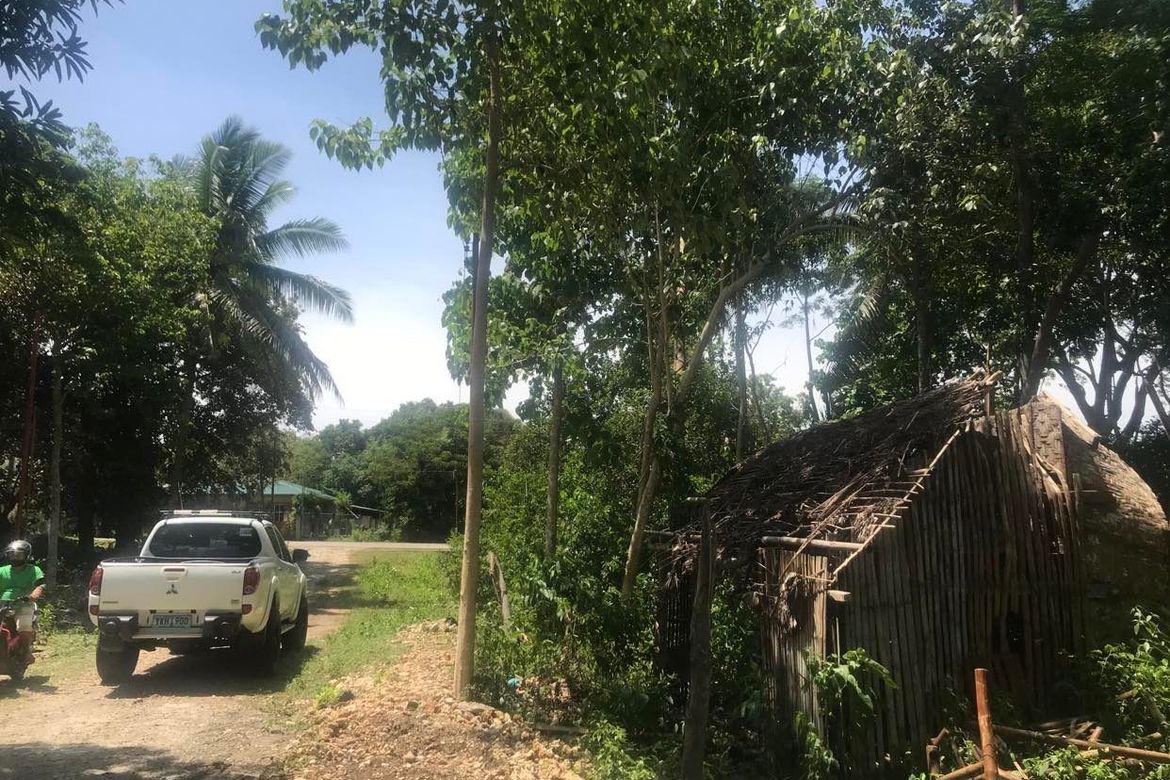 Land for Sale in Tangnan, Panglao, Bohol – photo 5