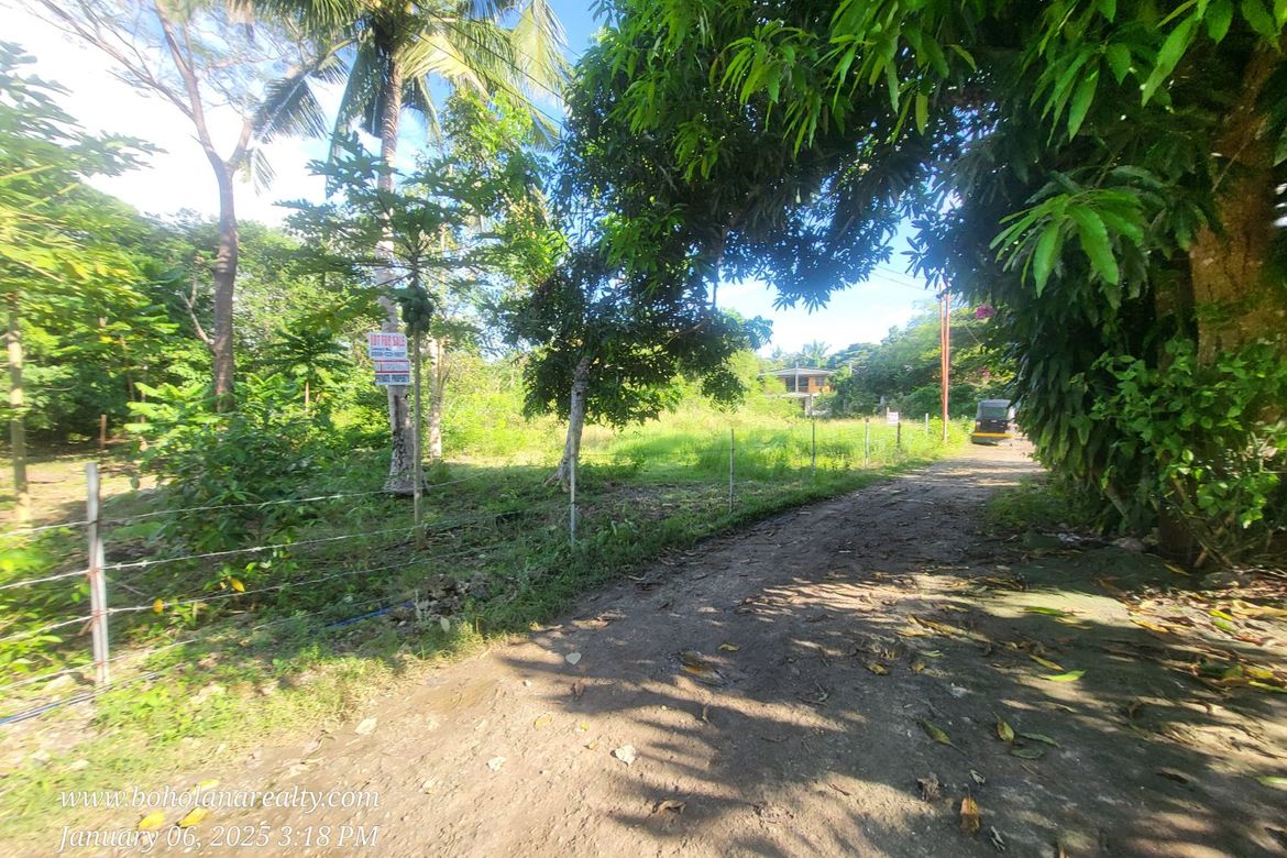 Land for Sale in Tangnan, Panglao, Bohol – photo 2