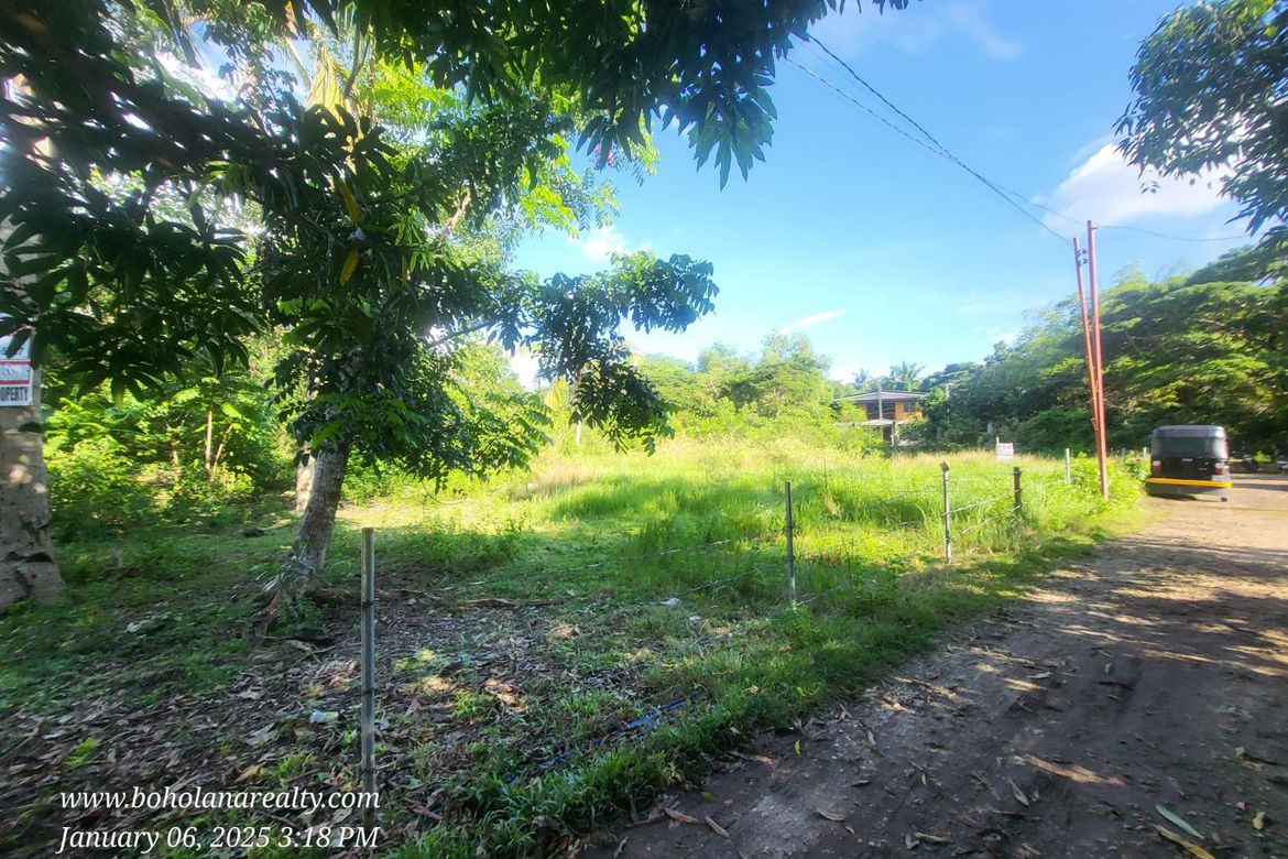Land for Sale in Tangnan, Panglao, Bohol – photo 3
