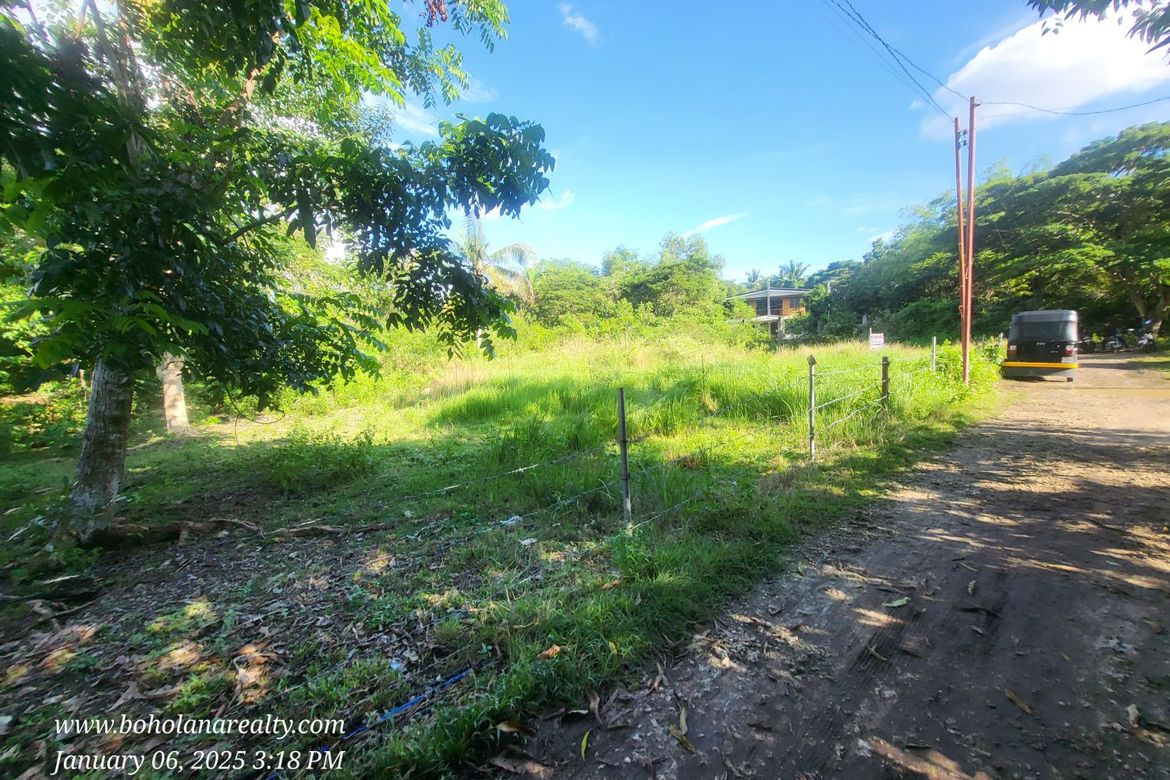 Land for Sale in Tangnan, Panglao, Bohol – photo 5
