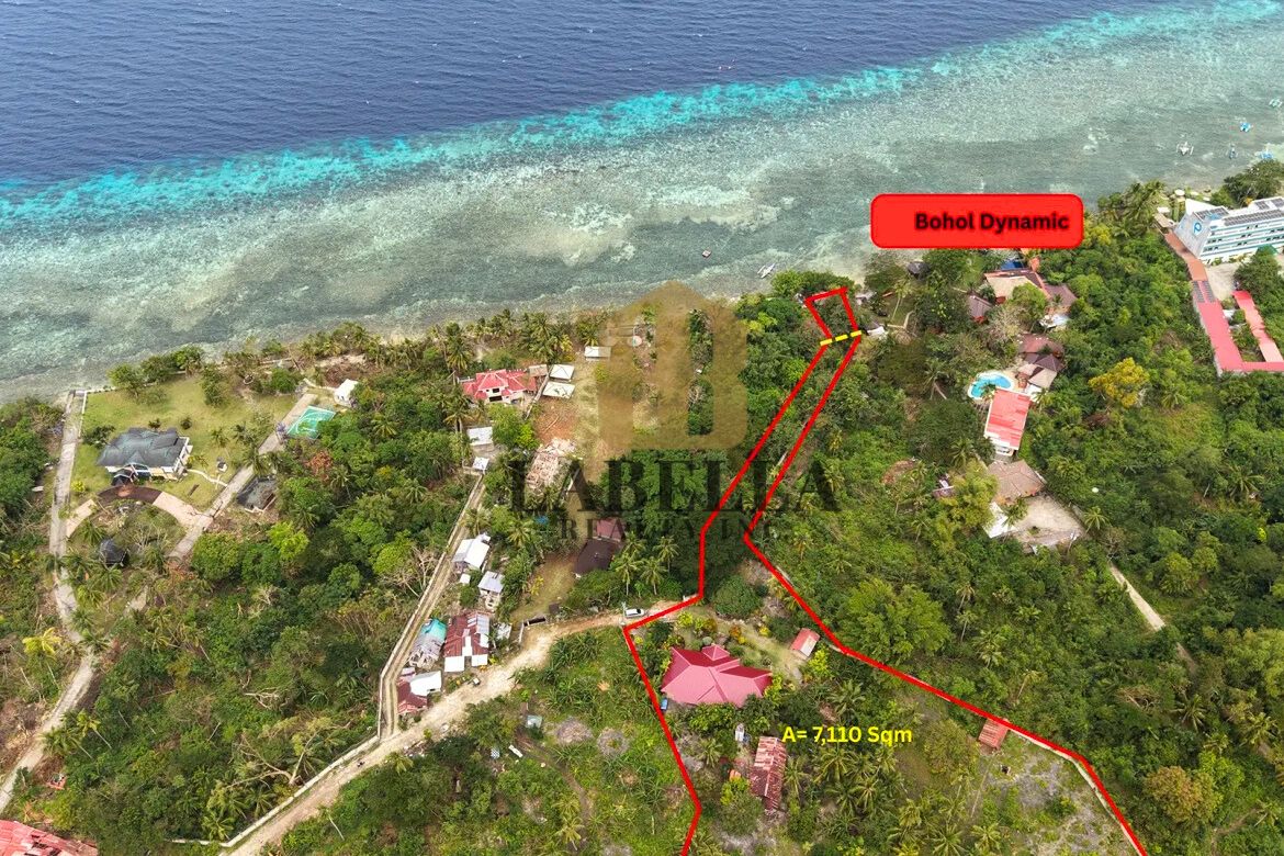Land for Sale in Tangnan, Panglao, Bohol – photo 2