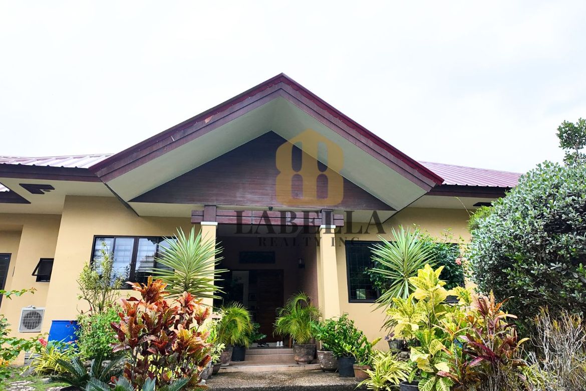 Land for Sale in Tangnan, Panglao, Bohol – photo 7