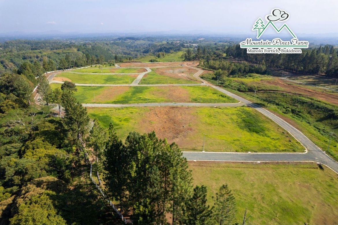Land for Sale in Tankulan, Manolo Fortich, Bukidnon – photo 4
