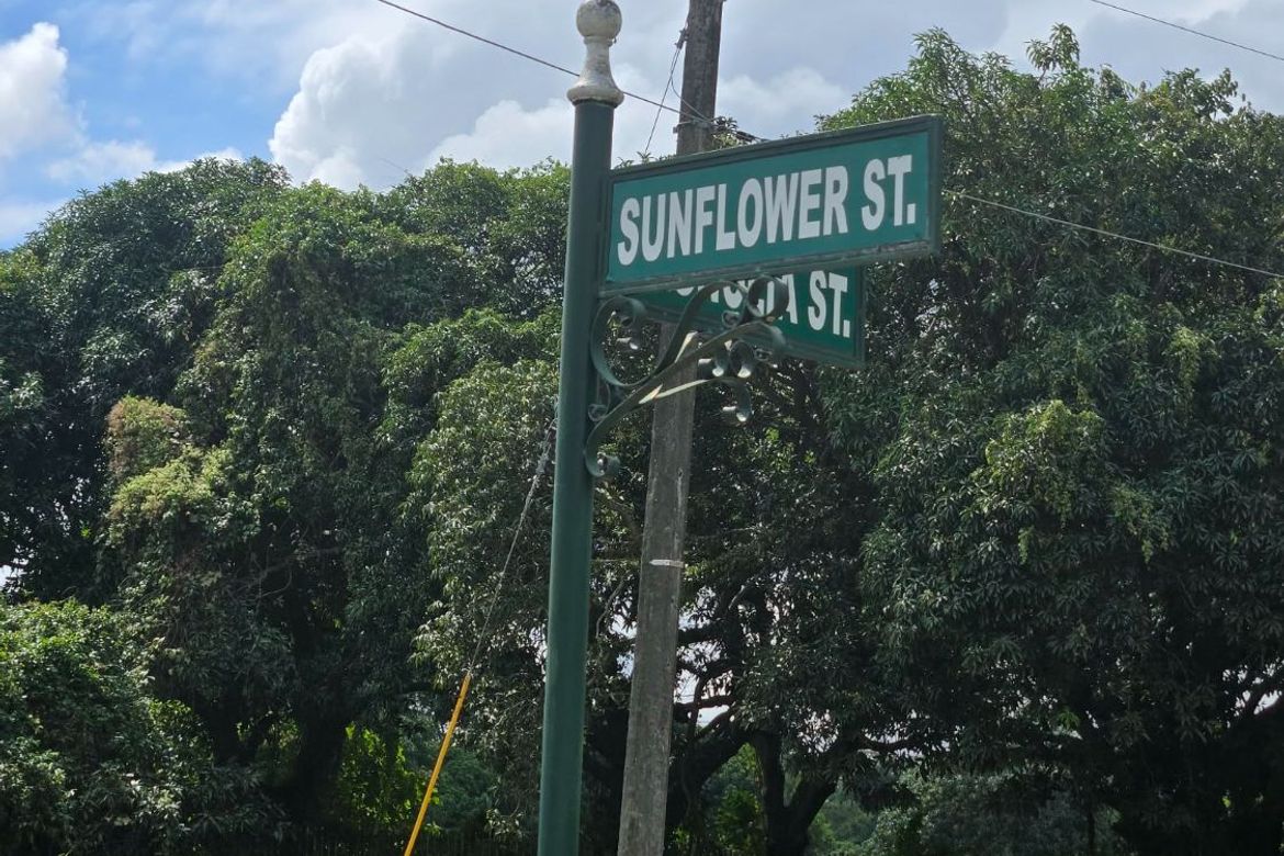 Land for Sale in Tanzang Luma II, Imus, Cavite – photo 5