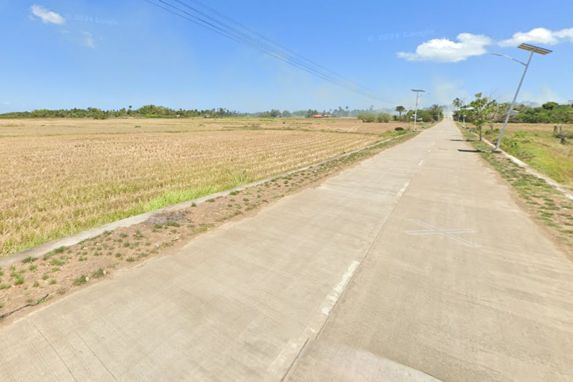 Land for Sale in Tapal, Ubay, Bohol