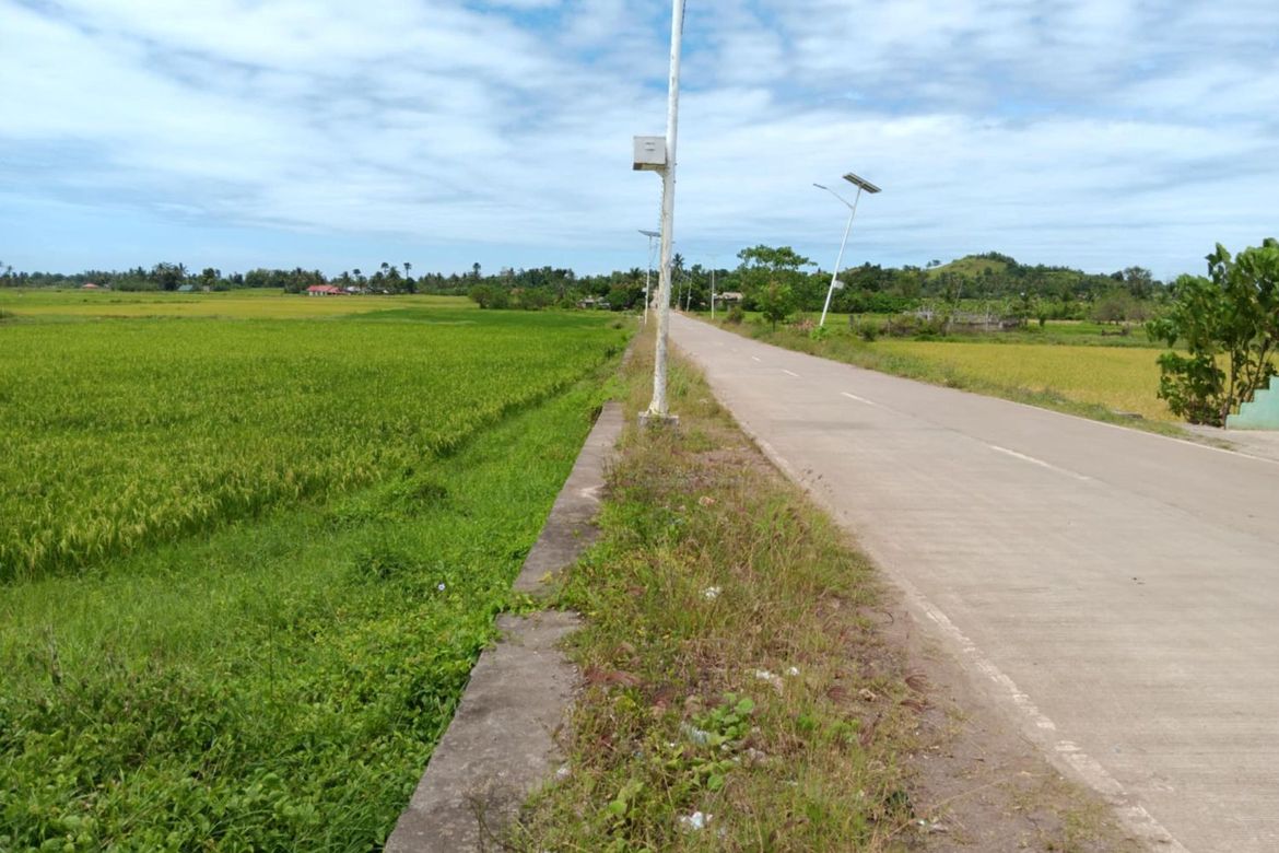 Land for Sale in Tapal, Ubay, Bohol – photo 7