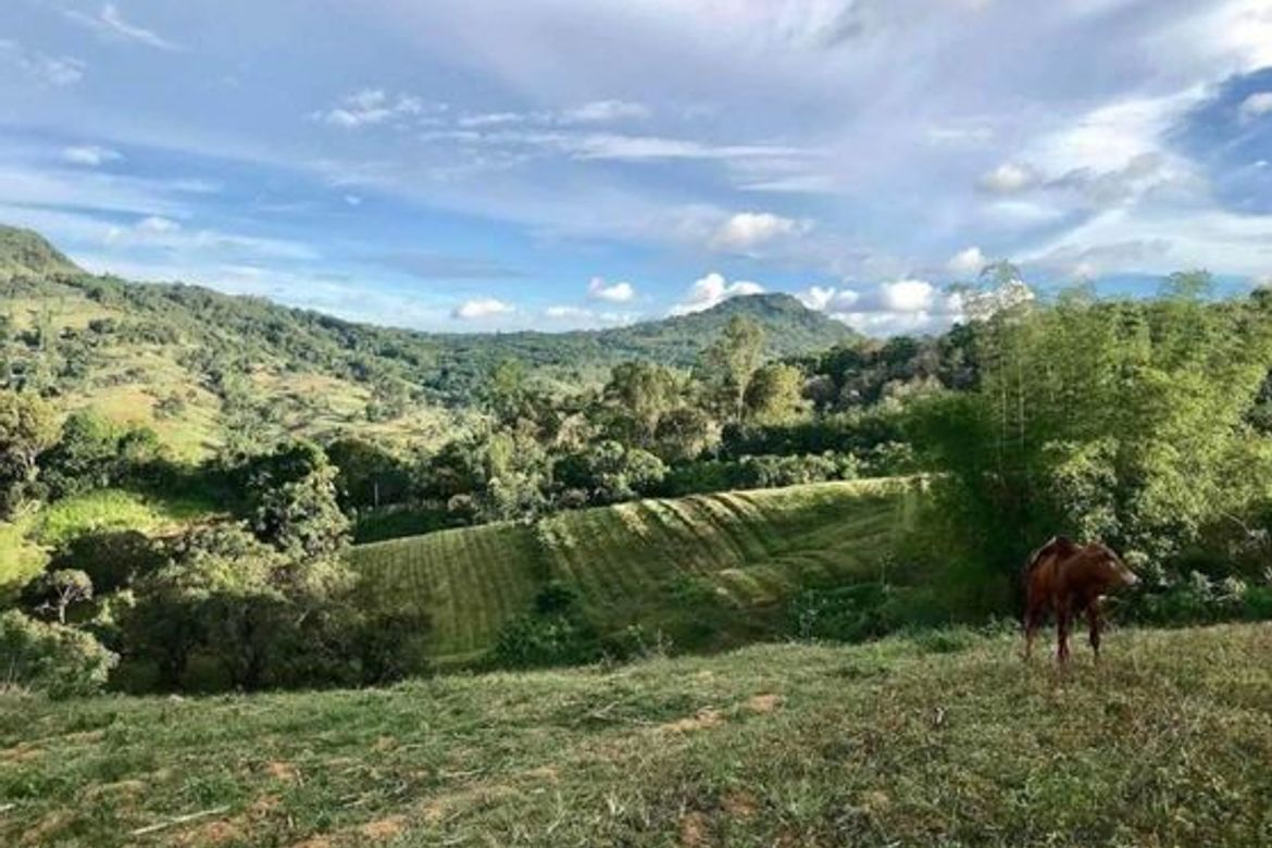 Land for Sale in Taptap, Cebu City, Cebu – photo 2