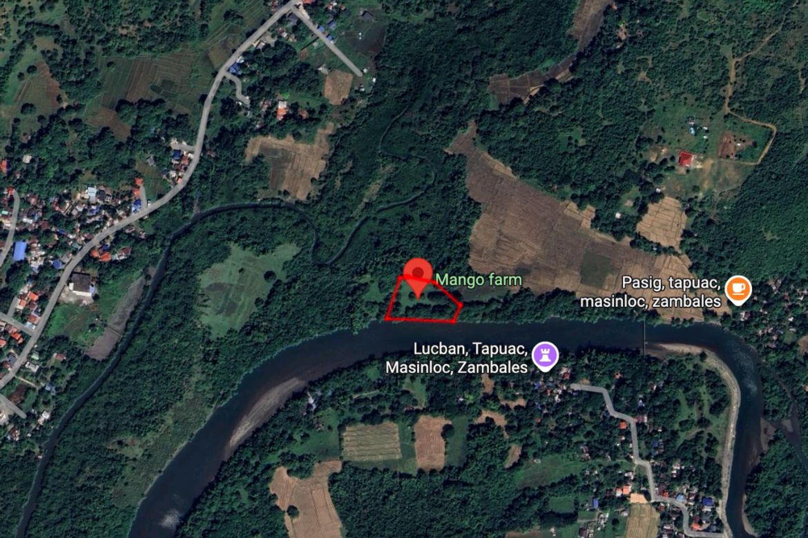 Land for Sale in Tapuac, Masinloc, Zambales – photo 3