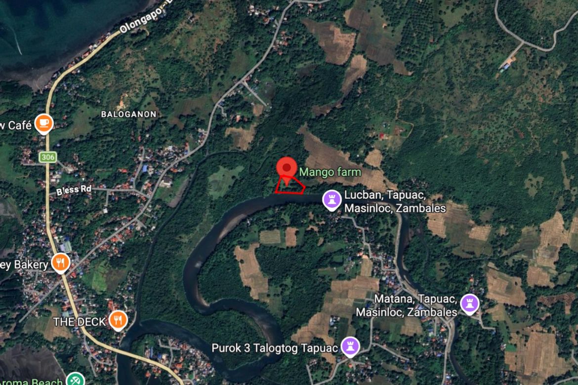 Land for Sale in Tapuac, Masinloc, Zambales – photo 4