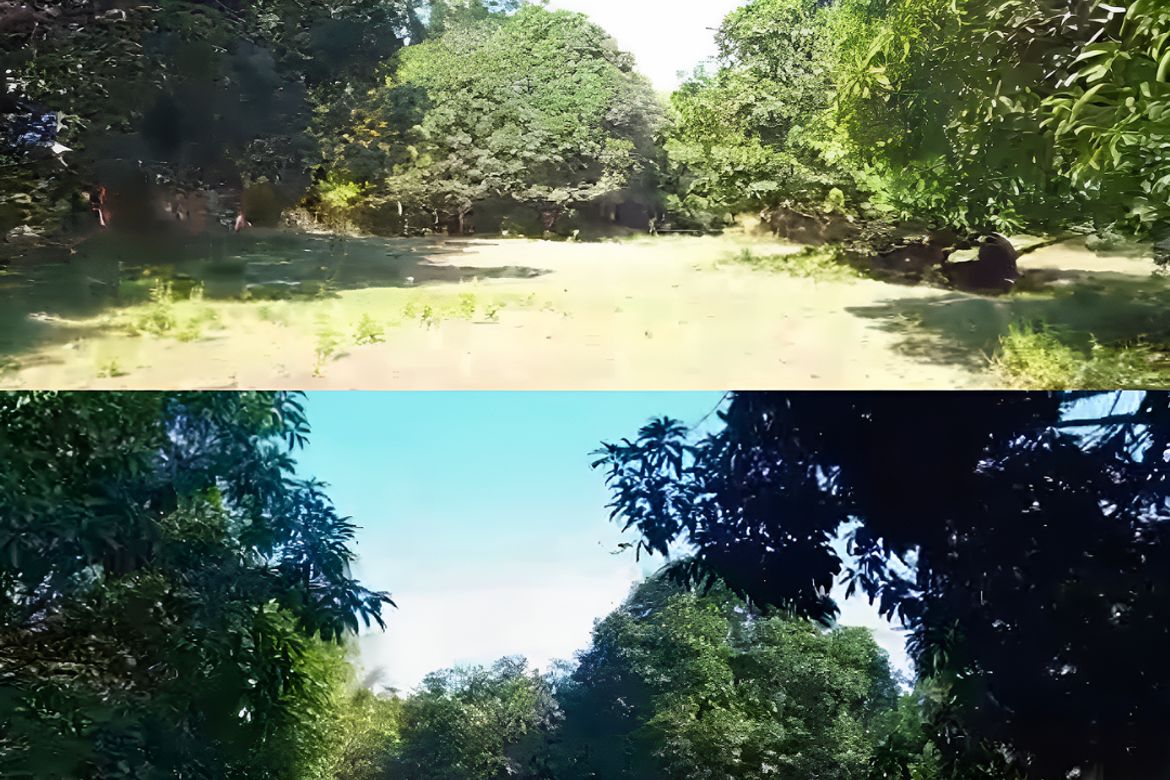 Land for Sale in Tapuac, Masinloc, Zambales – photo 5