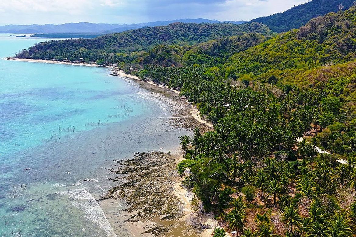 Land for Sale in Taradungan, Roxas, Palawan – photo 3