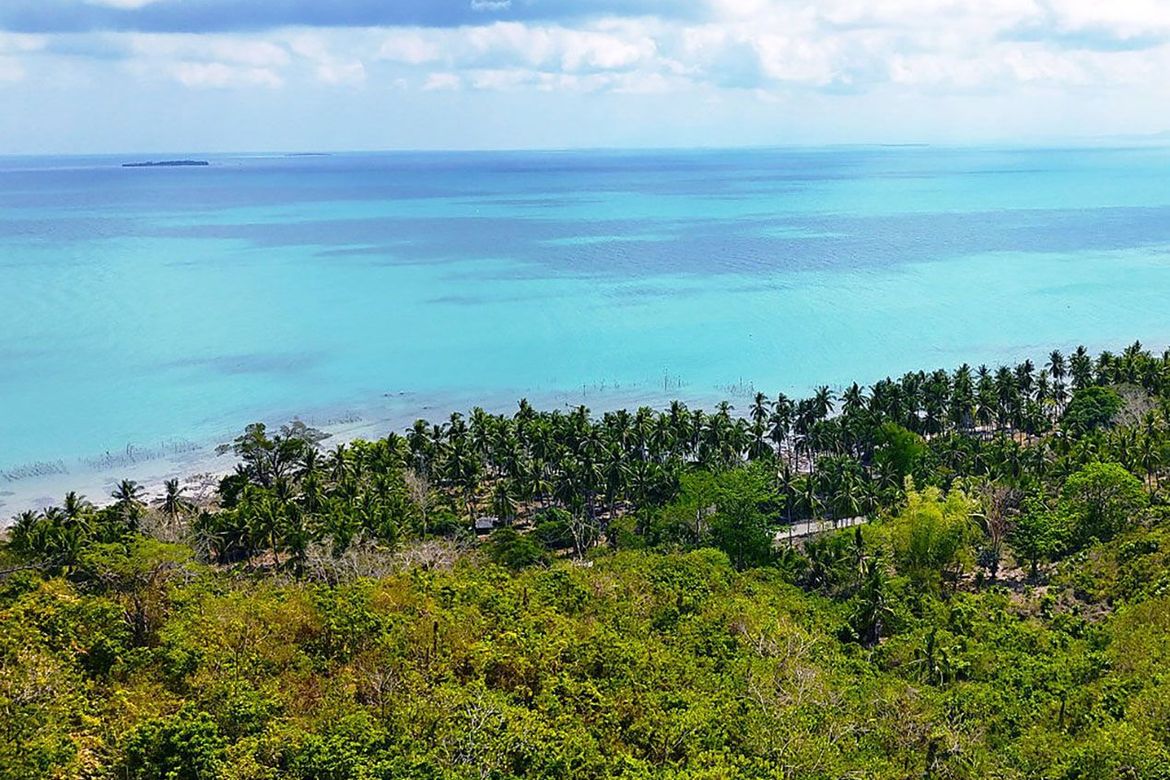 Land for Sale in Taradungan, Roxas, Palawan – photo 4
