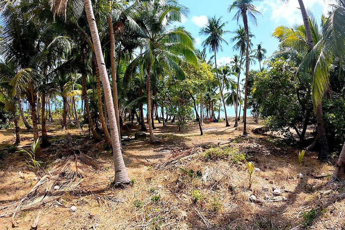 Land for Sale in Taradungan, Roxas, Palawan – photo 8