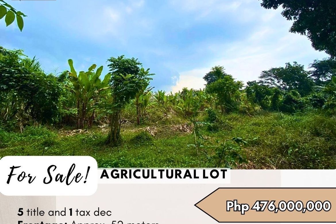 Land for Sale in Tartaria, Silang, Cavite