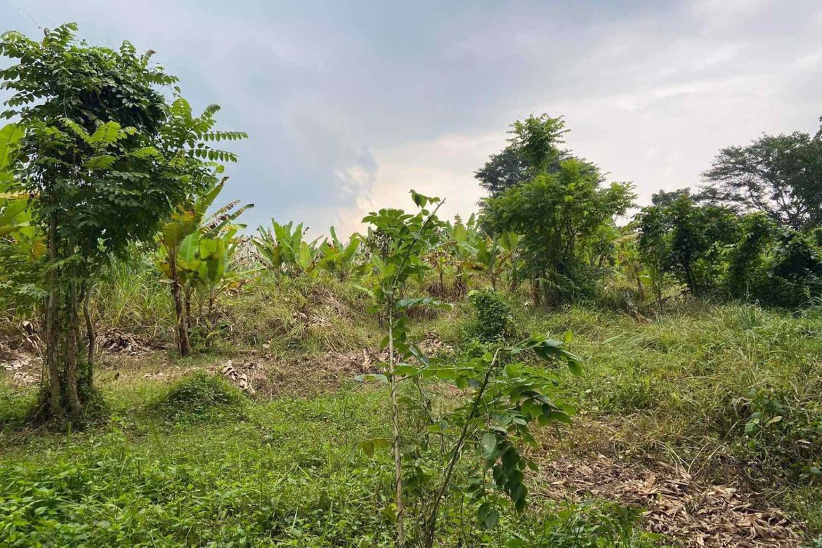 Land for Sale in Tartaria, Silang, Cavite – photo 2