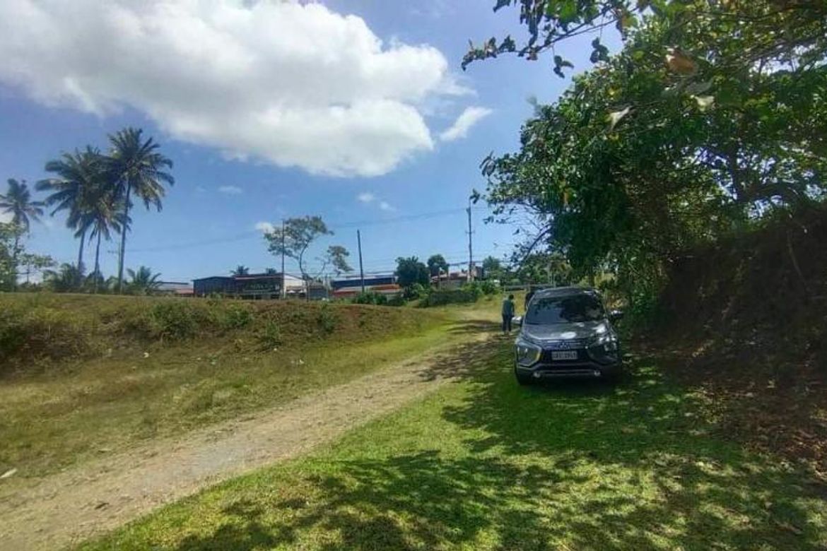 Land for Sale in Tartaria, Silang, Cavite – photo 2