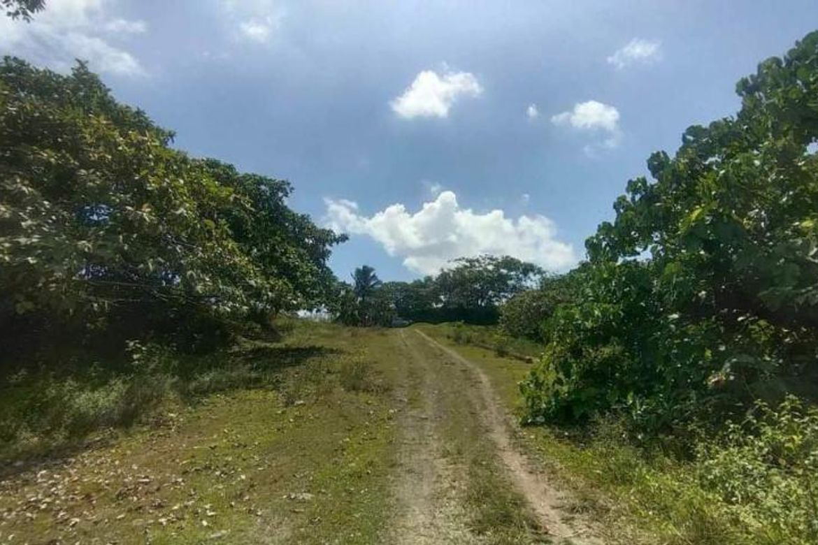 Land for Sale in Tartaria, Silang, Cavite – photo 3