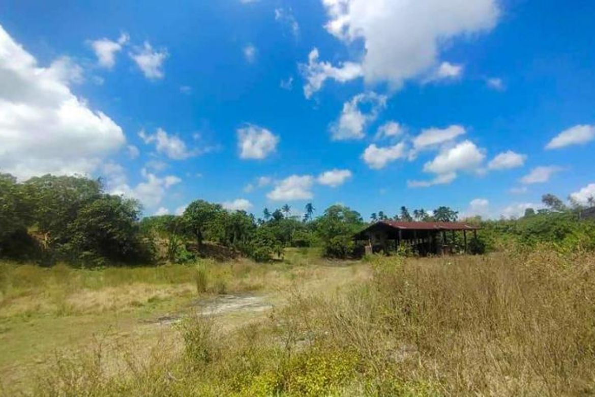 Land for Sale in Tartaria, Silang, Cavite – photo 4