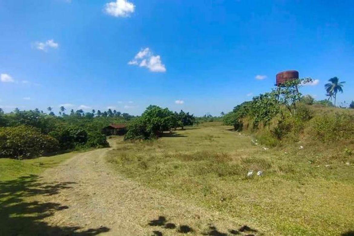 Land for Sale in Tartaria, Silang, Cavite – photo 5