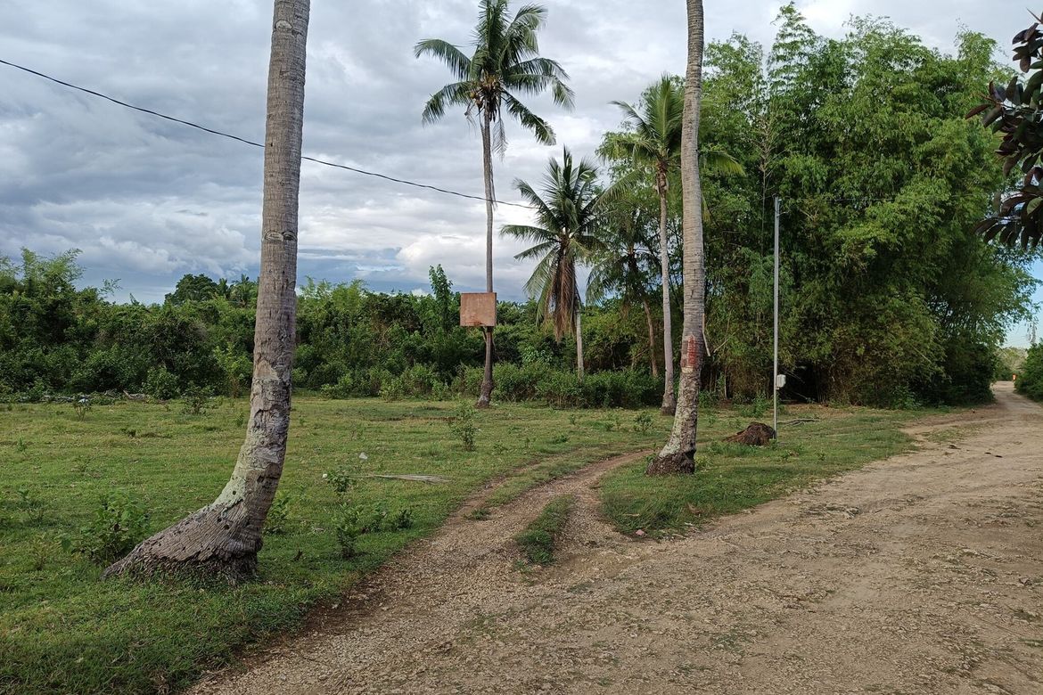 Land for Sale in Tawala, Panglao, Bohol – photo 5