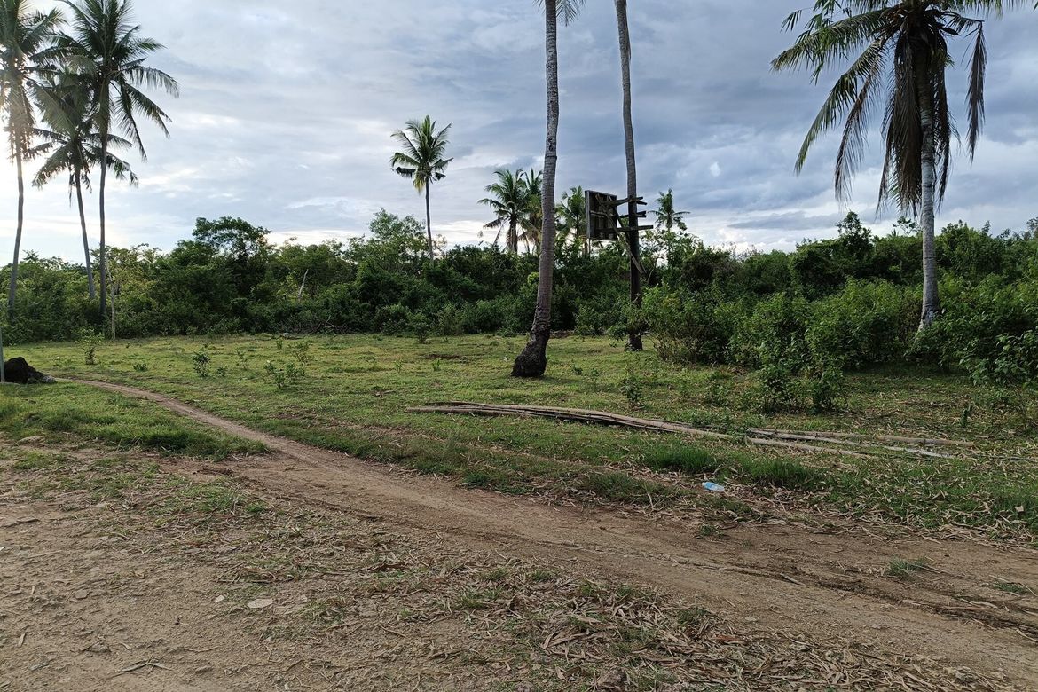 Land for Sale in Tawala, Panglao, Bohol – photo 7