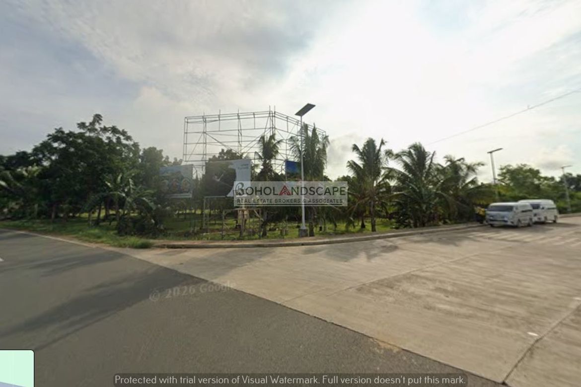 Land for Sale in Tawala, Panglao, Bohol – photo 6
