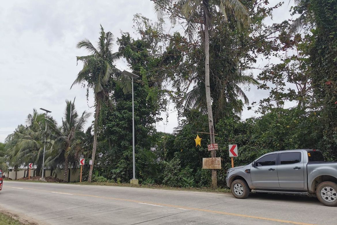 Land for Sale in Tawala, Panglao, Bohol – photo 3